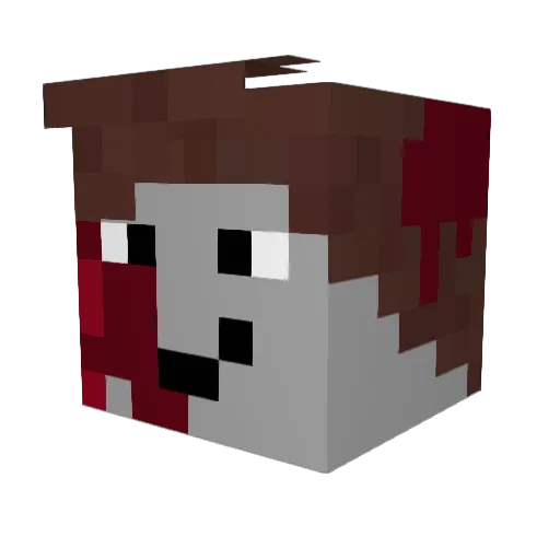 Julidown Minecraft avatar head, 3D render