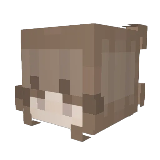 Julie1497 Minecraft avatar head, 3D render