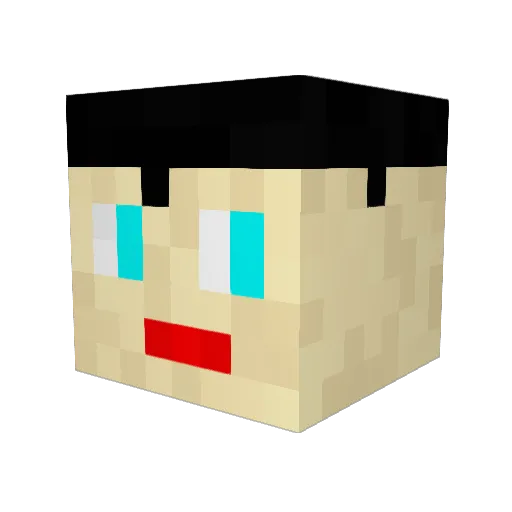 Julie2006 Minecraft avatar head, 3D render