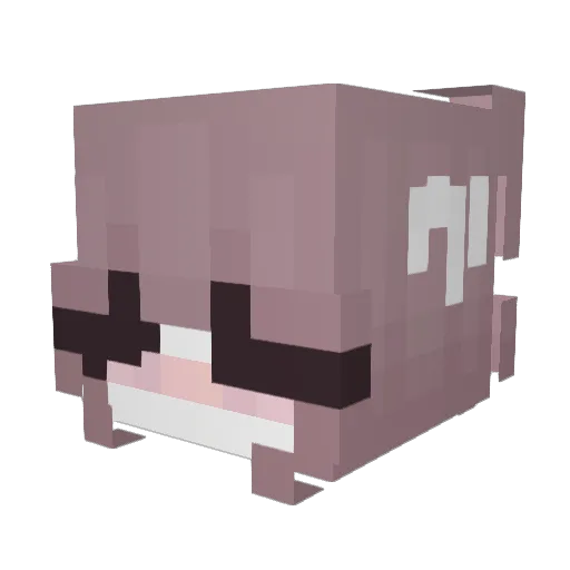 Julie665 Minecraft avatar head, 3D render