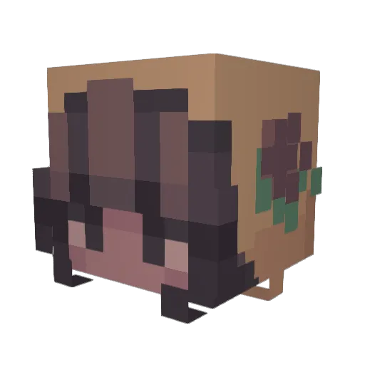 JulieJuice Minecraft avatar head, 3D render