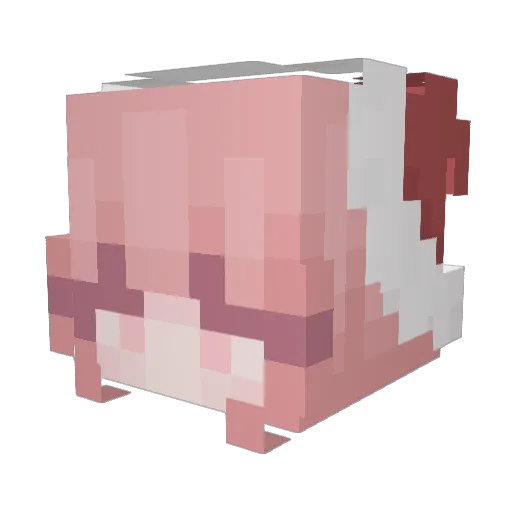 JuliePlays10 Minecraft avatar head, 3D render
