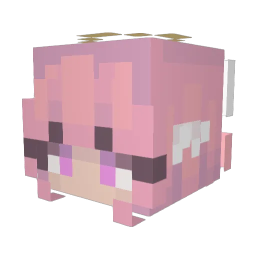 Julie_204 Minecraft avatar head, 3D render