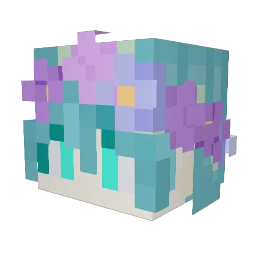 Julie_The_Nymph Minecraft avatar head, 3D render