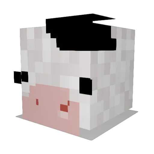 Juliee Minecraft avatar head, 3D render