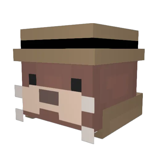 Julien_1306 Minecraft avatar head, 3D render
