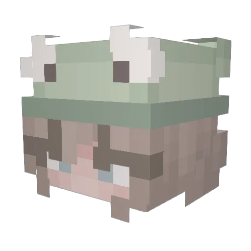 Julifrog2 Minecraft avatar head, 3D render