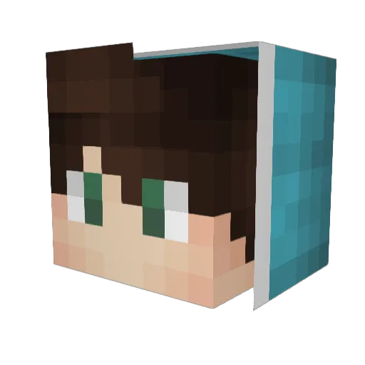 Julijerry Minecraft avatar head, 3D render