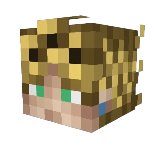 JulioGuilherme Minecraft avatar head, 3D render