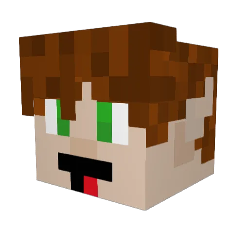 JulioLimer Minecraft avatar head, 3D render