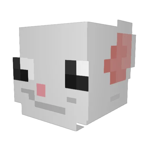 Julioconda Minecraft avatar head, 3D render