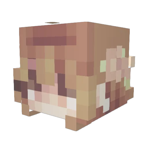 Julis06 Minecraft avatar head, 3D render