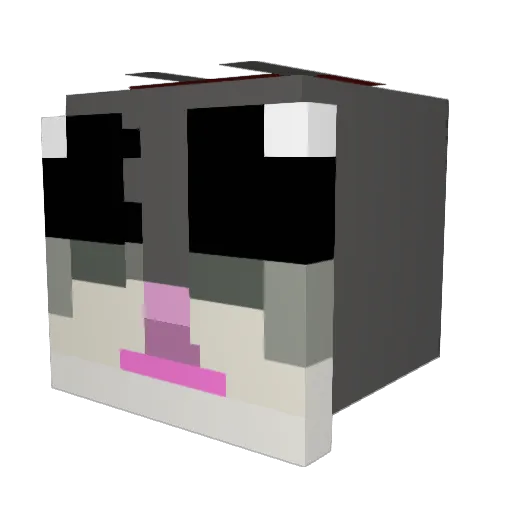 JulitoElTravieso Minecraft avatar head, 3D render