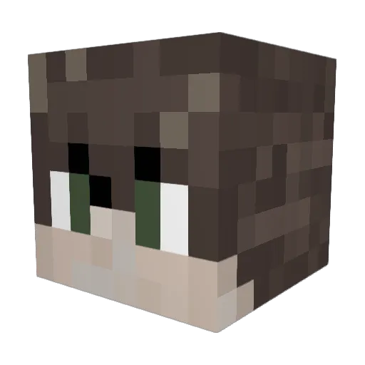 Julius447 Minecraft avatar head, 3D render
