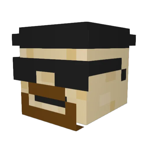 JuliusSeizure22 Minecraft avatar head, 3D render
