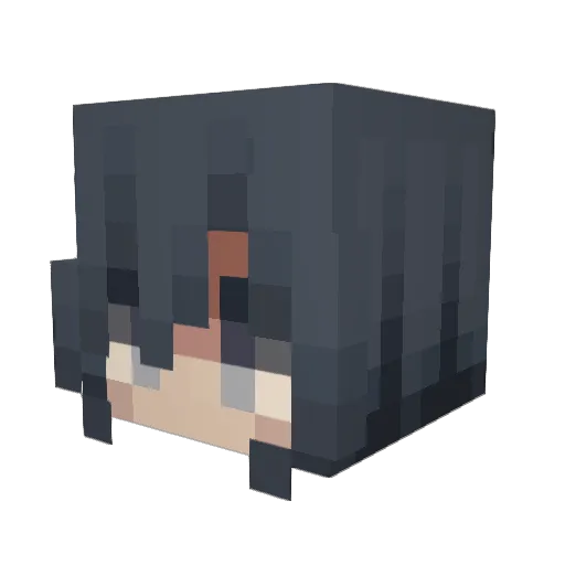 Juliwulli Minecraft avatar head, 3D render