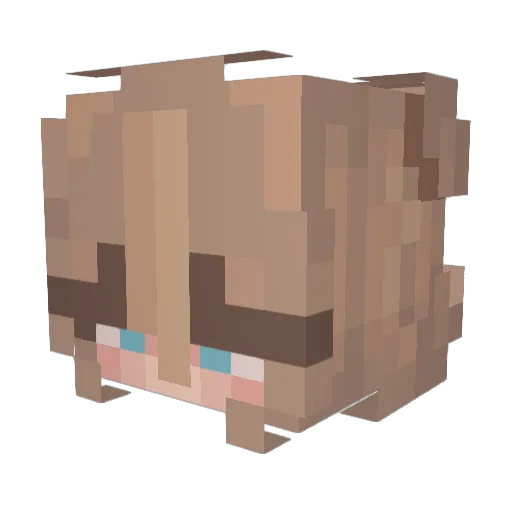 Julix8080 Minecraft avatar head, 3D render