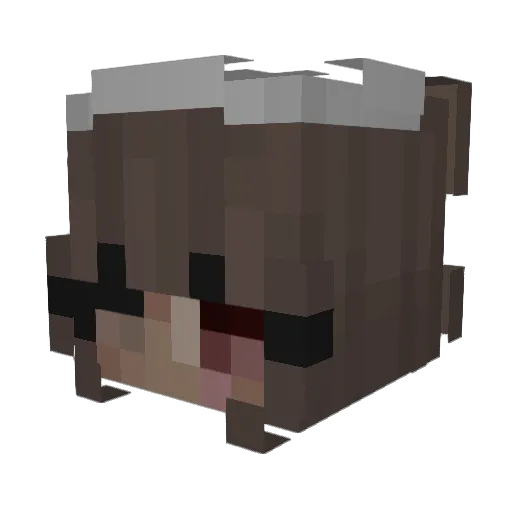 JulixSky Minecraft avatar head, 3D render