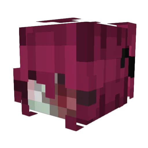 JulixX20 Minecraft avatar head, 3D render