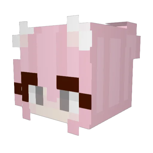 JulixZuwu Minecraft avatar head, 3D render