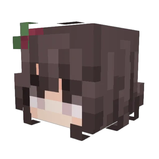 Julkakulka13 Minecraft avatar head, 3D render