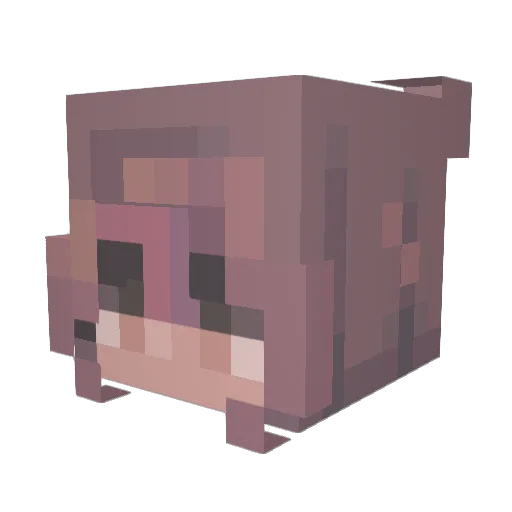 Jullebulle808 Minecraft avatar head, 3D render