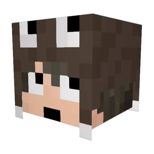 JuloLeBro Minecraft avatar head, 3D render