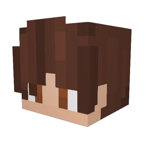 Juls_08 Minecraft avatar head, 3D render