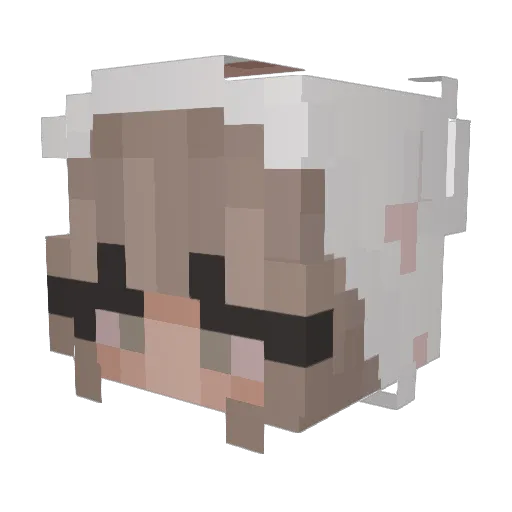 Julsiewoolsie Minecraft avatar head, 3D render