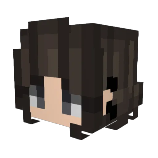 Julszyl Minecraft avatar head, 3D render