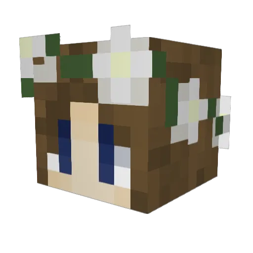 JumbledLemons Minecraft avatar head, 3D render