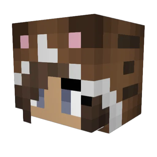 Jumin Minecraft avatar head, 3D render