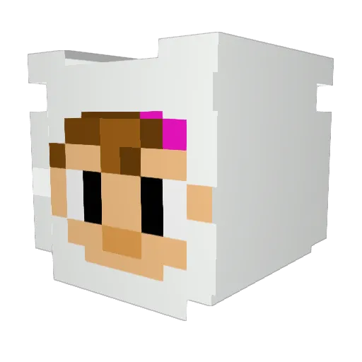 JumperNex Minecraft avatar head, 3D render