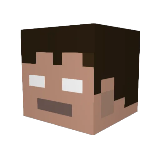 Jumpignon3 Minecraft avatar head, 3D render