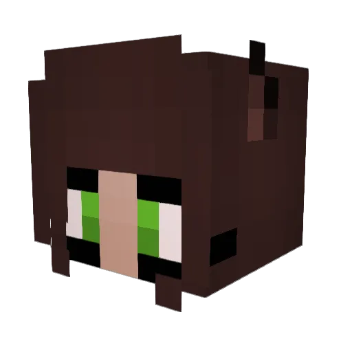 JumpingNinZ Minecraft avatar head, 3D render