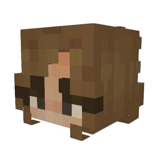 JumpingSloth949 Minecraft avatar head, 3D render