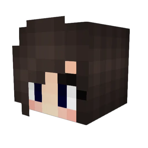 Jumpinpugs Minecraft avatar head, 3D render