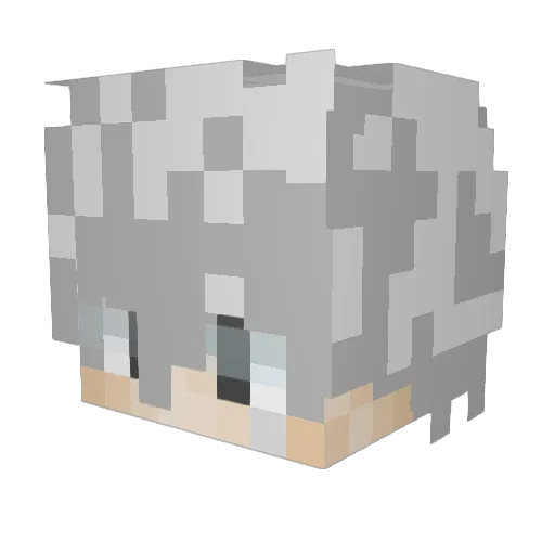 Jumpsack Minecraft avatar head, 3D render
