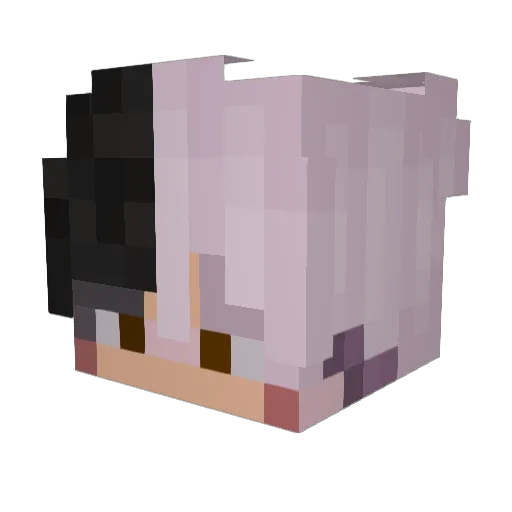 JumpyTurtle15 Minecraft avatar head, 3D render