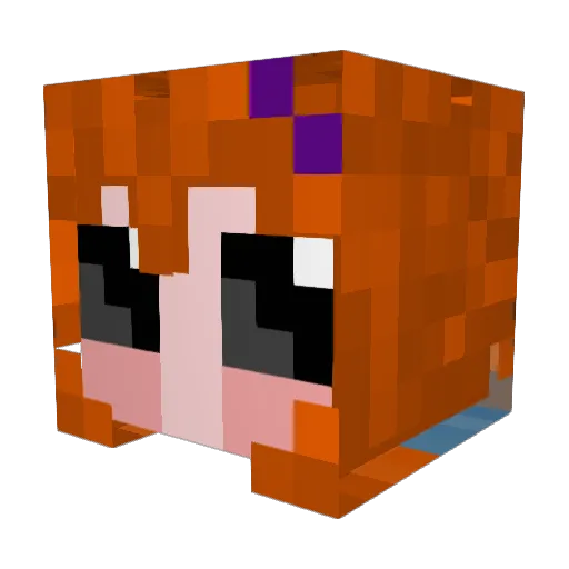 Jumpy_0008 Minecraft avatar head, 3D render