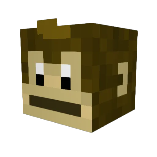 Jumpy_God Minecraft avatar head, 3D render