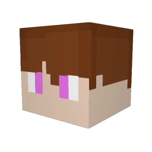 Jun0707 Minecraft avatar head, 3D render