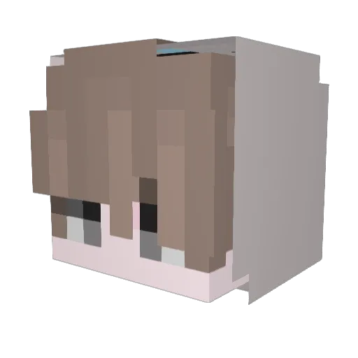 JunSungi Minecraft avatar head, 3D render