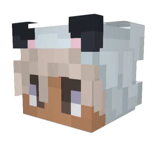 JunTaeJa Minecraft avatar head, 3D render