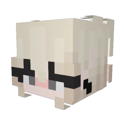 Jun_Emer Minecraft avatar head, 3D render