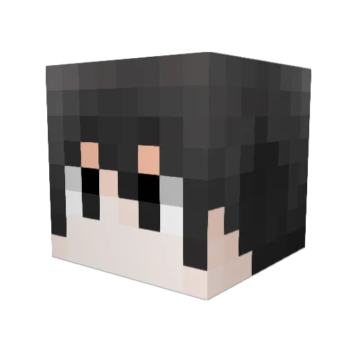 Jun_Luo Minecraft avatar head, 3D render