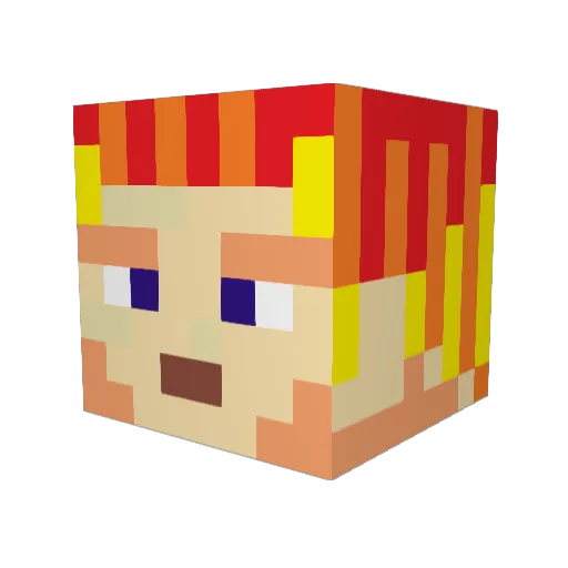 JuncoBirds Minecraft avatar head, 3D render