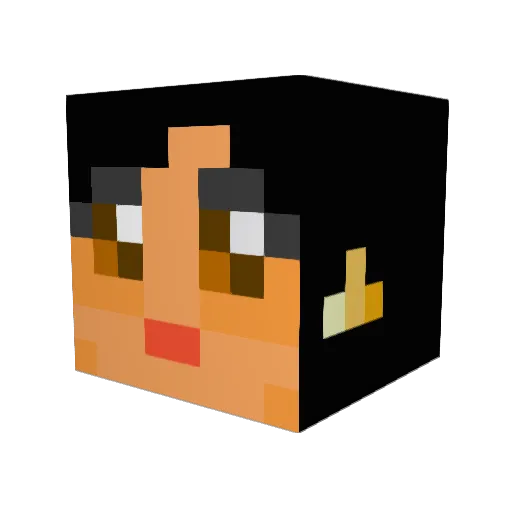 JuneBug0620 Minecraft avatar head, 3D render