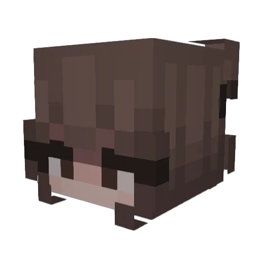 JuneLo Minecraft avatar head, 3D render