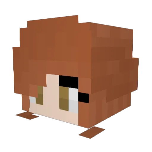 JuneauNZ Minecraft avatar head, 3D render
